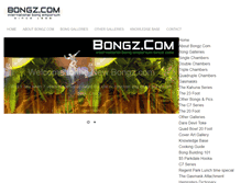 Tablet Screenshot of bongz.com